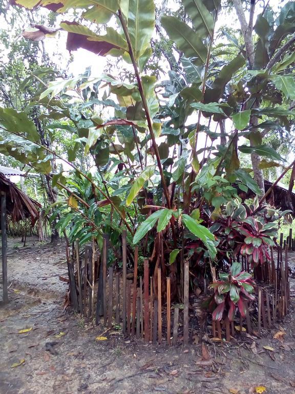 Xingu Camping Site Летисия Экстерьер фото
