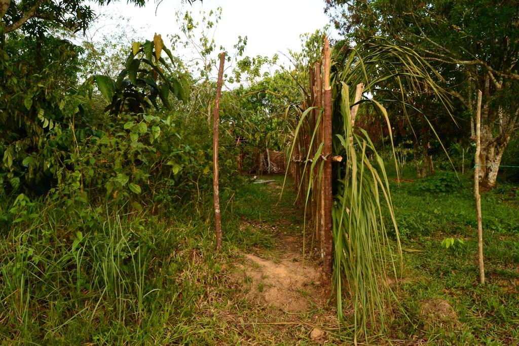 Xingu Camping Site Летисия Экстерьер фото