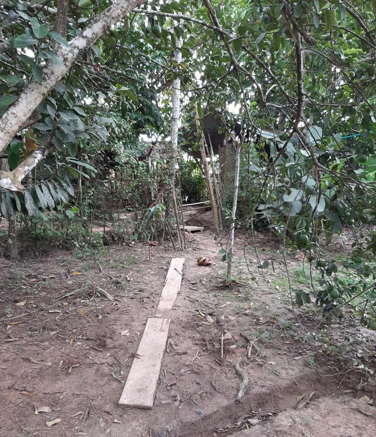 Xingu Camping Site Летисия Экстерьер фото