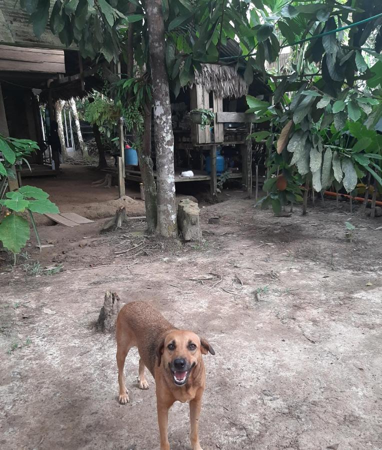 Xingu Camping Site Летисия Экстерьер фото